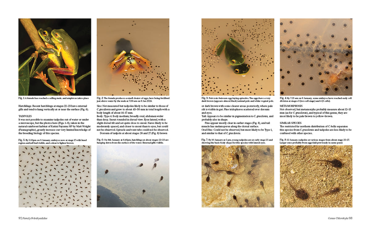 Tadpoles and Frogs of Australia - 3rd edition