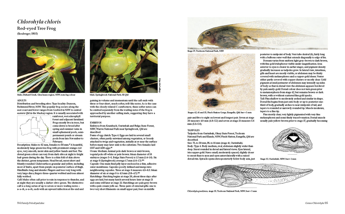 Tadpoles and Frogs of Australia - 3rd edition