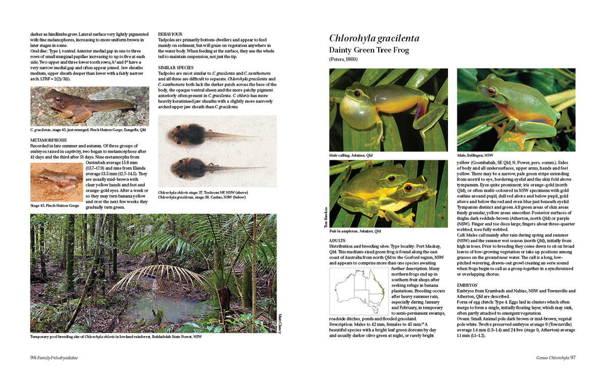 Tadpoles and Frogs of Australia - 3rd edition